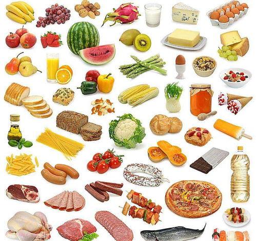 上海普陀區辦理食品經營許可證的費用與注意事項